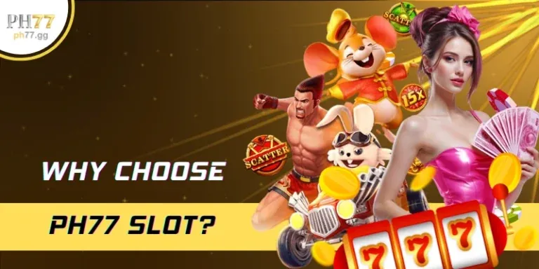 vn89 phù hợp với ai