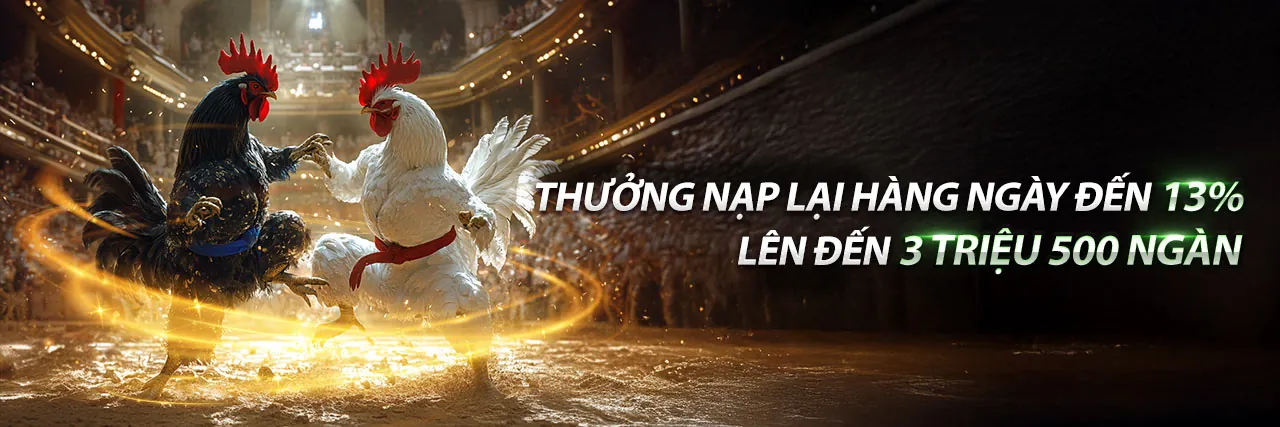 Hình ảnh chính vn89 với các hoạt động cá cược trực tuyến sôi động